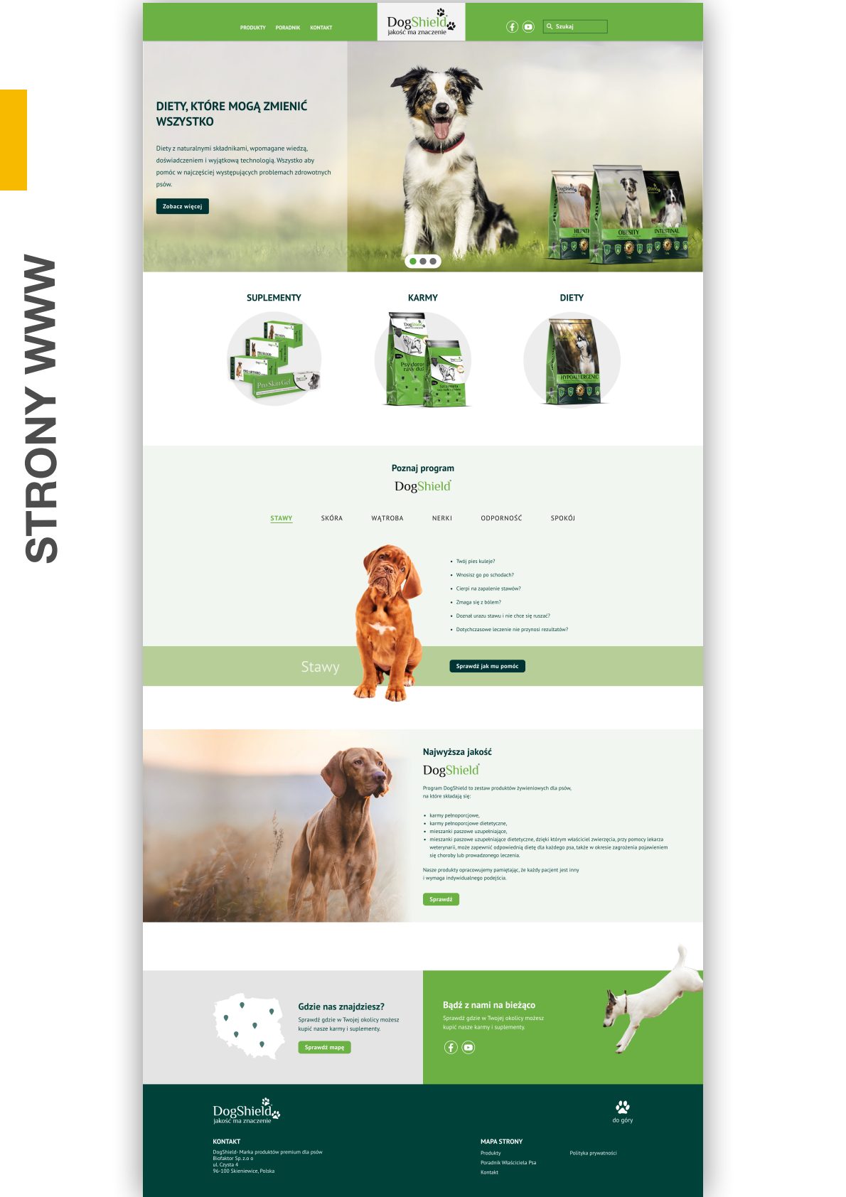 Portfolio strona 19